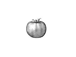 tomato woodcut